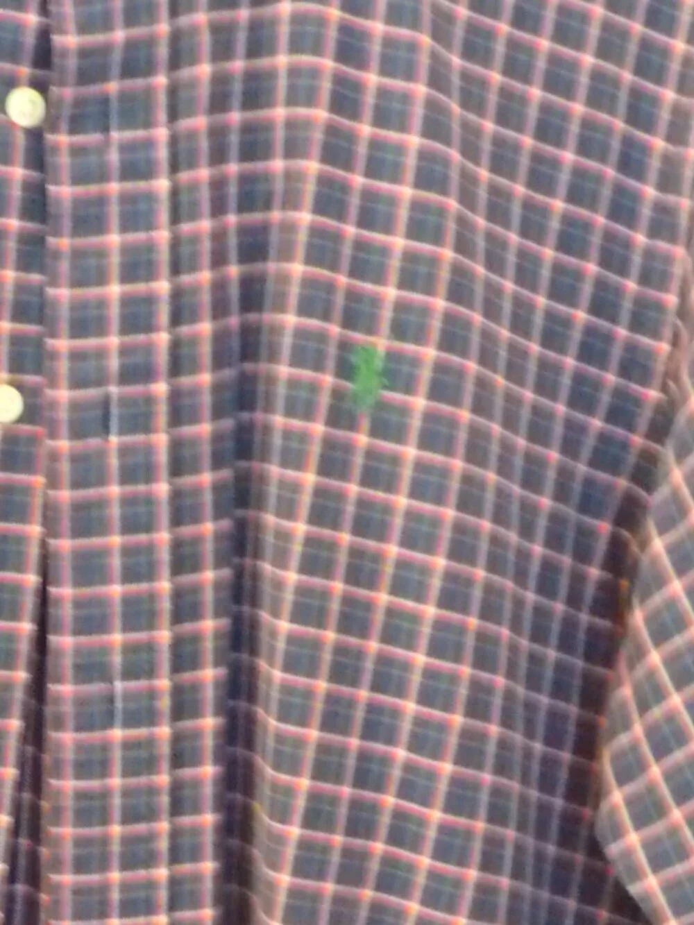 Polo Ralph Lauren oxford shirt, Men's Classic Fit, medium